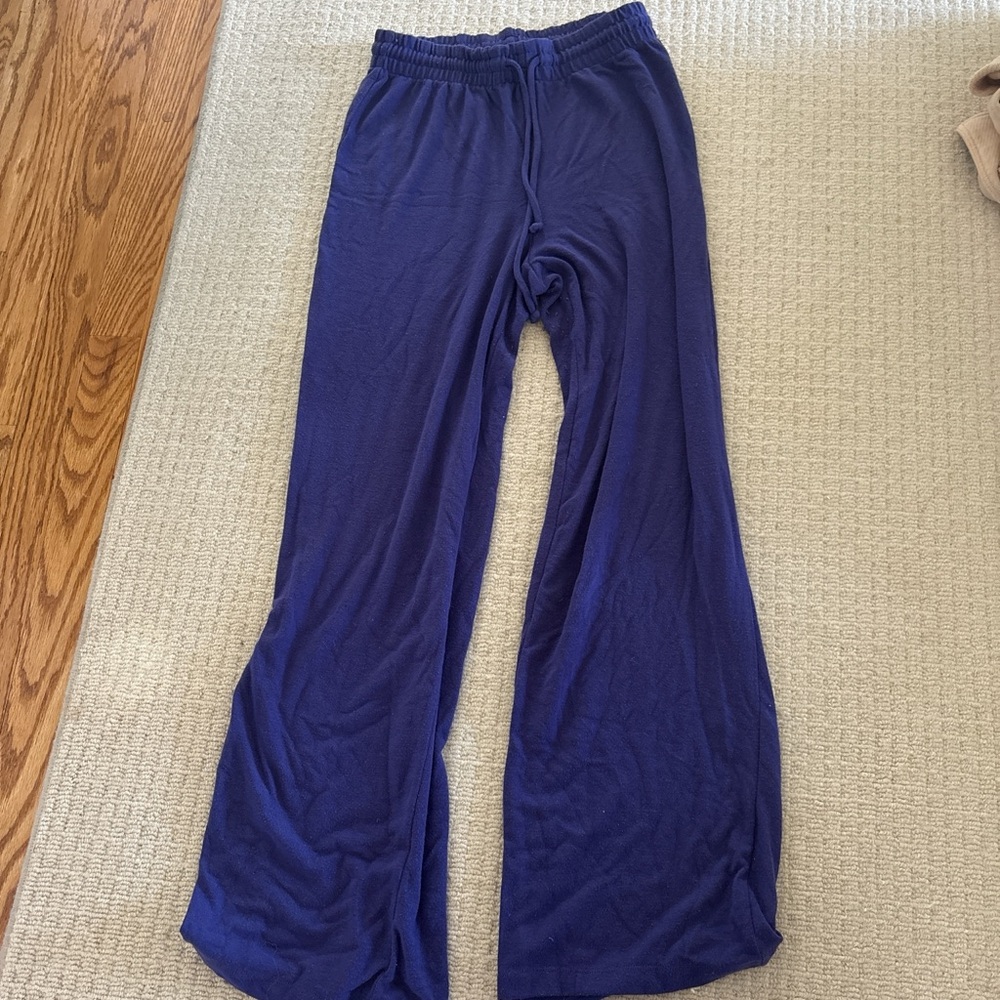 Aritzia Purple Soft Lounge Pants